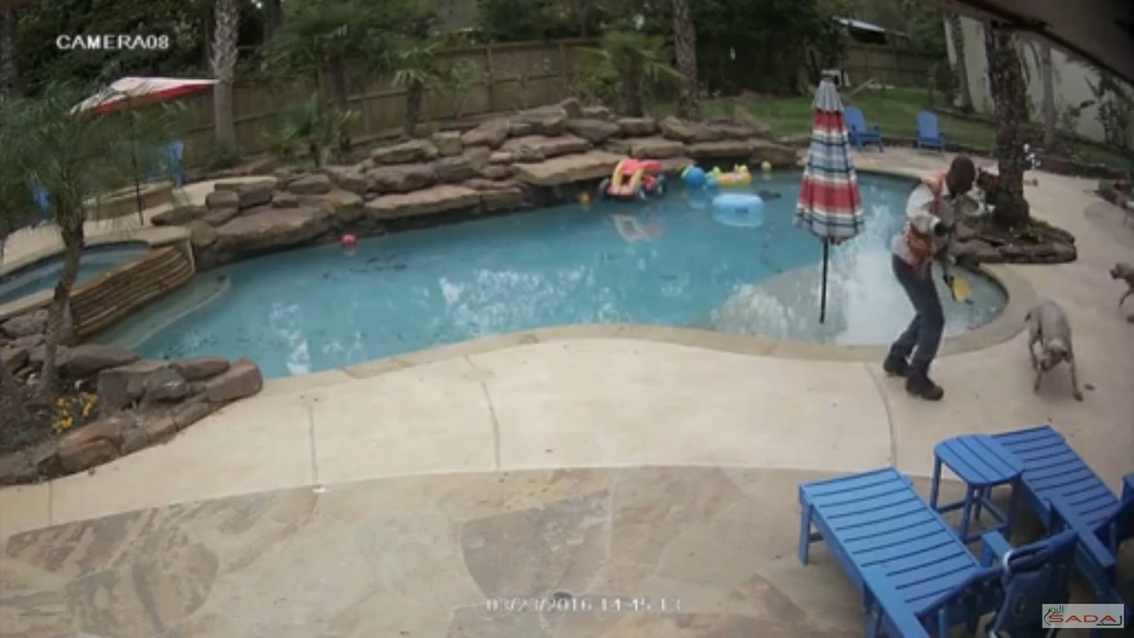 Texas contractor caught on camera hitting dogs with wrench