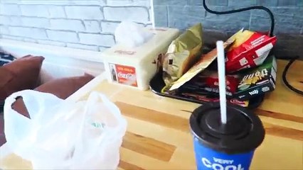 APARTMENT TOUR | VLOG 1