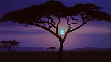 Vincent LAMMOUR En attendant ton retour Chanson