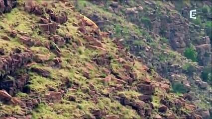 La science grandeur nature Documentaire 2016