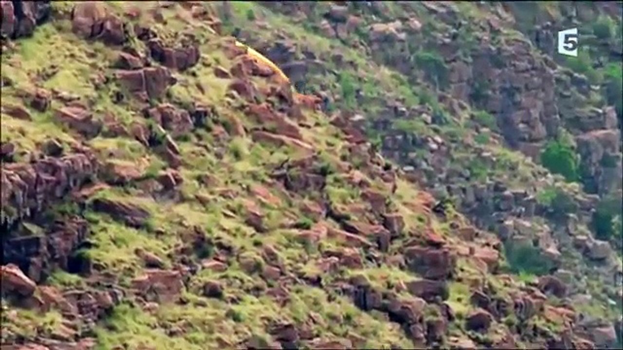 La science grandeur nature Documentaire 2016