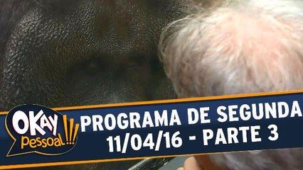 Okay Pessoal!!! 11.04.16 - Segunda - Parte 3
