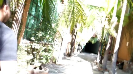 Reaction to Grapefruit Technique + Visiting JK films