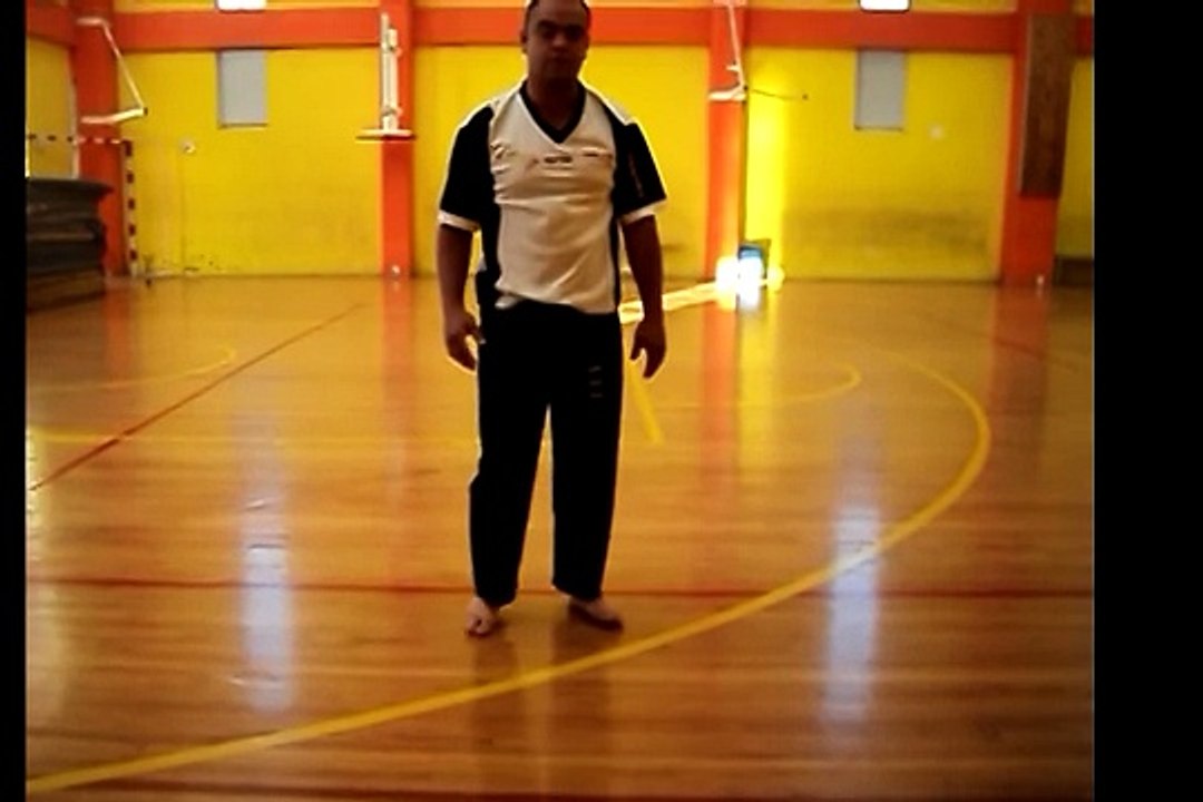 Guía de entrenamiento básico 1 karate - Lima Lama