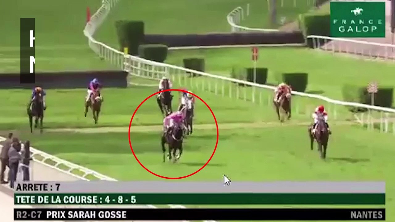Un cheval percute des spectateurs lors d'une course à Nantes
