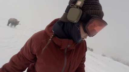 Quand une Snowboardeuse est poursuivie par un ours brun !