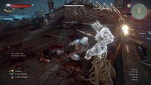 The Witcher 3: Eredin deathmatch BUGGED WIN