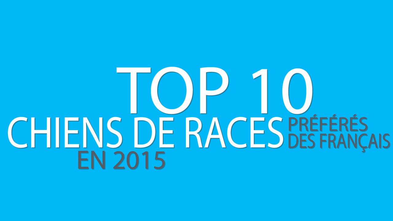 TOP 10 CHIENS DE RACES PRÉFÉRÉS DES FRANCAIS EN 2015