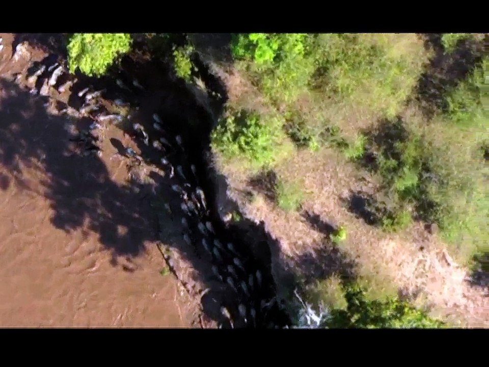 Kuş Bakışı 2. Bölüm