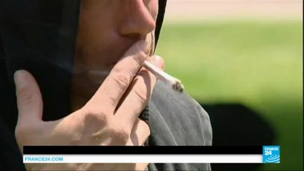 France: could decriminalizing cannabis be back on the politica agenda?
