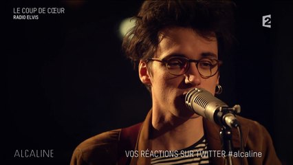 Alcaline, le Mag : Radio Elvis - Les moissons en live