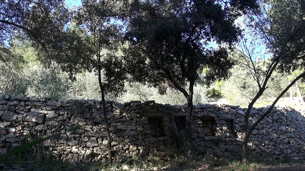 BAUDOUVIN