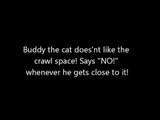 buddy the cat doesnt like crawl spaces! he says no!
