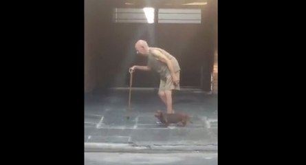 Un teckel marche à côté d'un vieil homme