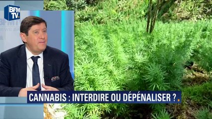 Patrick Kanner: "Je n'ai jamais fumé de joint"