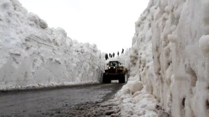 Karayoluna Düşen Çığ Araçları Mahsur Bıraktı