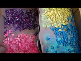 Elle remplit un sac à congélation de coques de pistache et ce qu'elle prépare vaut de l'or !