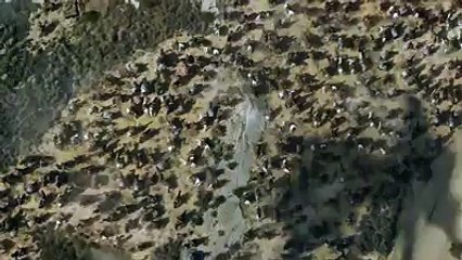 Game of thrones‬  Returns This April 24th. Enjoy the new trailer.