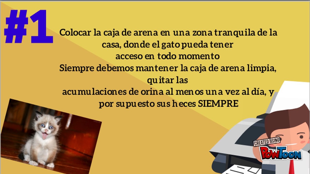 Como educar a un gato a usar su caja de arena