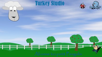 Introduction Turkey Studio