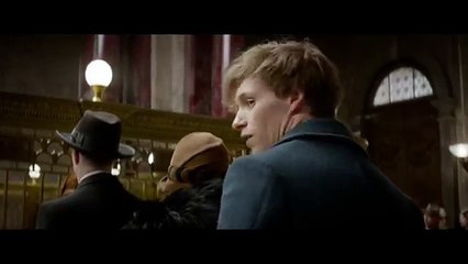 Fantastic Beasts and Where to Find Them - İlk Fragman - Türkçe Altyazılı [HD] (Trend Videos)