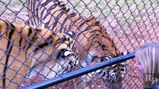 Russell Perkins Behind the Scenes Tiger Photoshoot Featurette