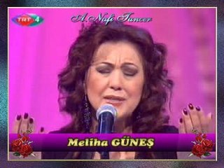 Meliha GÜNEŞ-Dostun Bahçasına Bir Hoyrat Girmiş