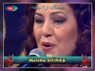 Meliha GÜNEŞ-Bağa Girdim Üzüme