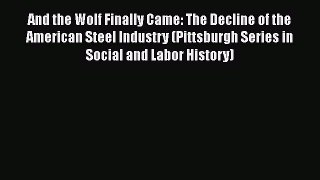 [Read book] And the Wolf Finally Came: The Decline of the American Steel Industry (Pittsburgh