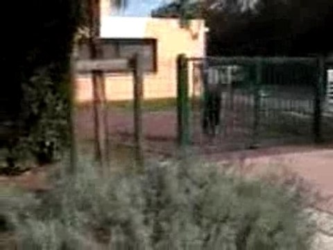 Pisteurs Crew (Parkour) - Travel