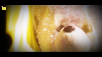 Sunniya Full Song - Honey Raj - Brand New Punjabi Songs 2014 Full HD Official Video -