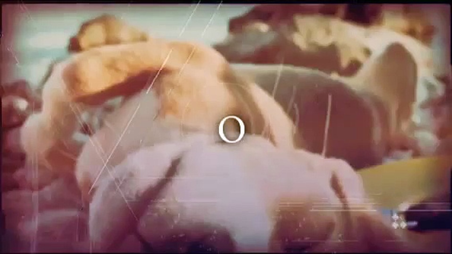 Животные лучшие друзья человека