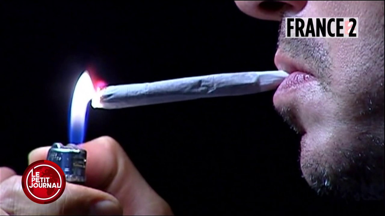 VU - Tuto cannabis sur les chaines d’infos - Le Petit Journal du 12/04 - CANAL+