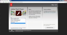 How to Install Adobe Flash Player 11.6 in Ubuntu 15.04, Linux Mint 17.2 & Debian 8
