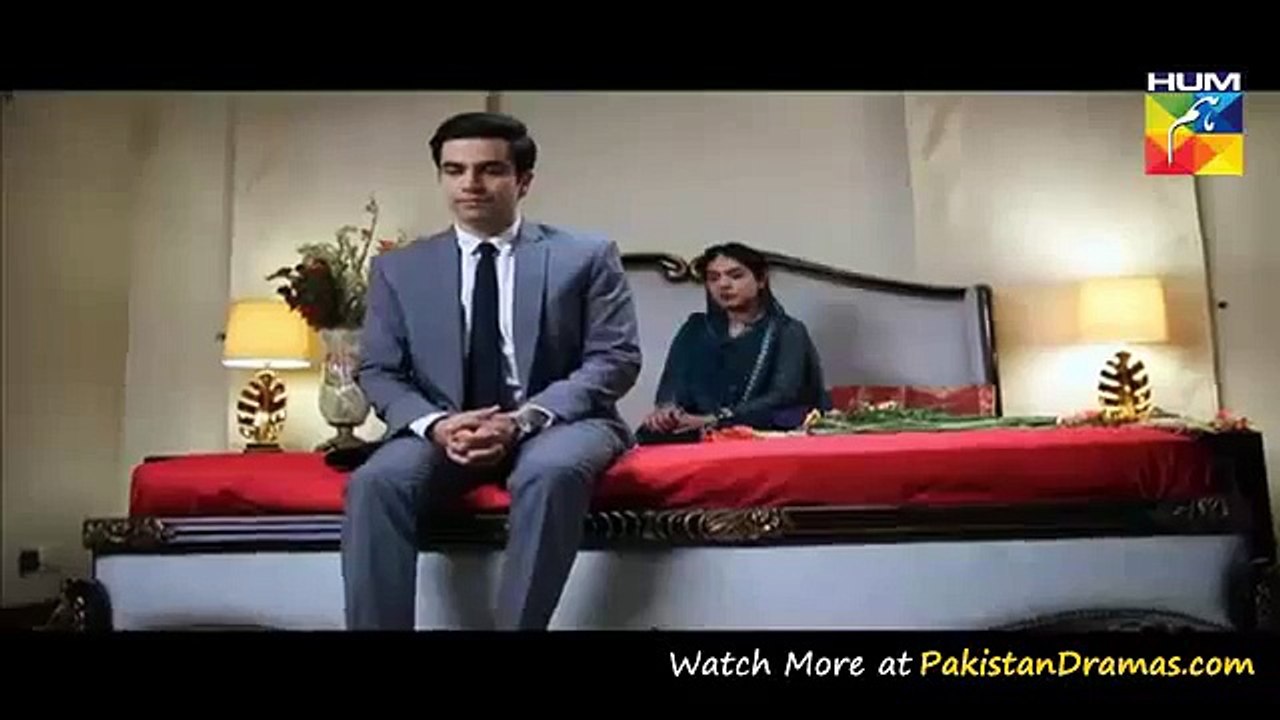 Watch Drama Dil e Beqarar Drama Promo Full by Hum Tv Aired on 12th April 2016 Hum Tv Drama-