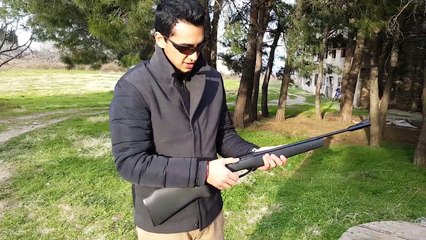 DAISY PROTARGET 953 .177 CAL FULL REVIEW