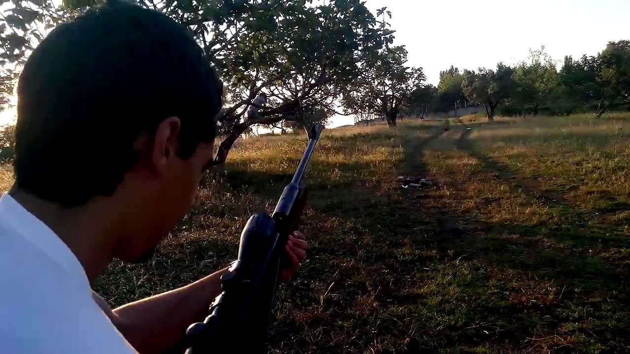 Diana Mod 54 12 fpe 118 metres  .177 cal