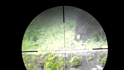 Fx t12 5.5  15 metre