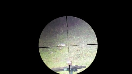 Fx t12 5.5  60-80-90 metre