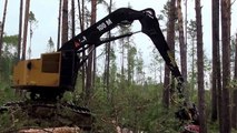 Track Harvester CAT 522 with Log Max Harvesting Head