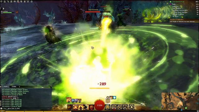 Guild Wars 2 Elementalist and Thief Duo 61