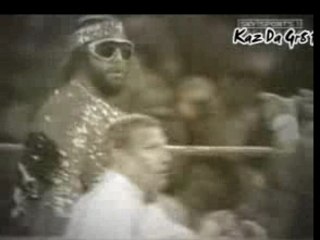 Brock Lesnar V Hulk Hogan Promo