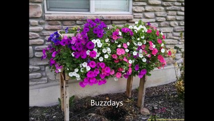 Elle fait 19 trous dans une boite, 5 mois plus tard le résultat est étonnant