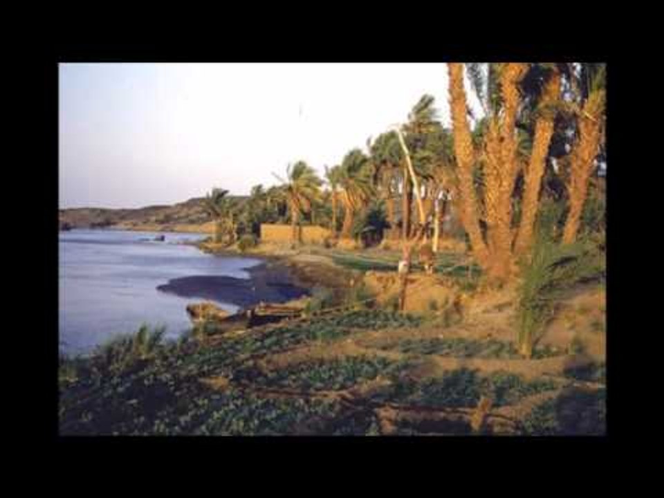 حمد الريح  _ الساقية /hamad al rayah | اغاني سو...