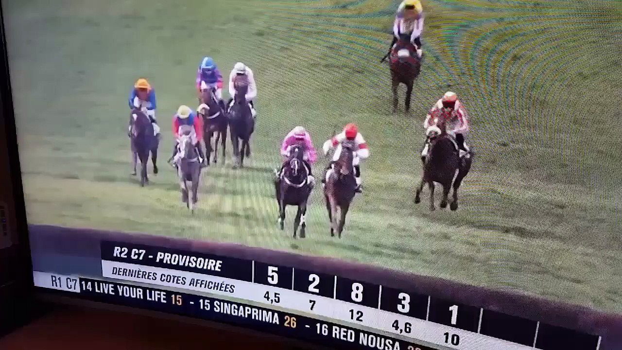 Un cheval percute des spectateurs