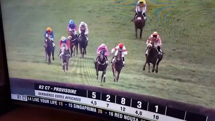 Un cheval percute des spectateurs