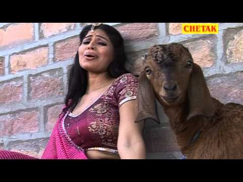 Tharo Re Boli Meethi Moruda Rani Rangili Rajsthani Hot Dance Chetak Cassettes