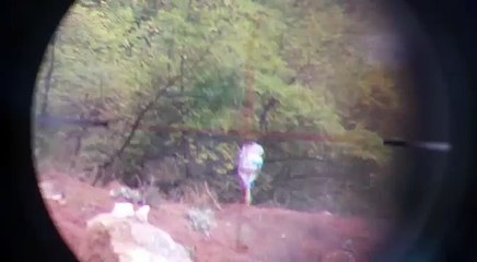 Hatsan Bt65 lw 5.5  160 metre