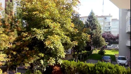 KRALARMS BREAKER W BULLPUP PCP TÜFEK TANITIMI