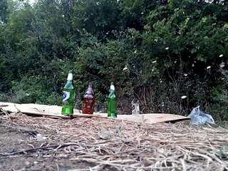 Sibergun 4.5 havali tufek &KRM ultra dome pellet